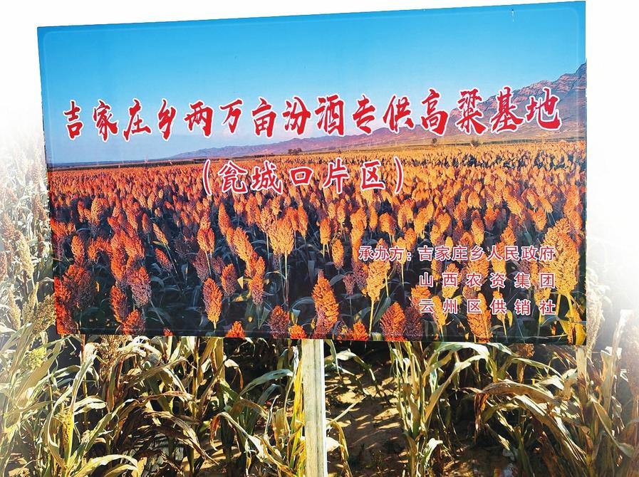 大同1.jpg
