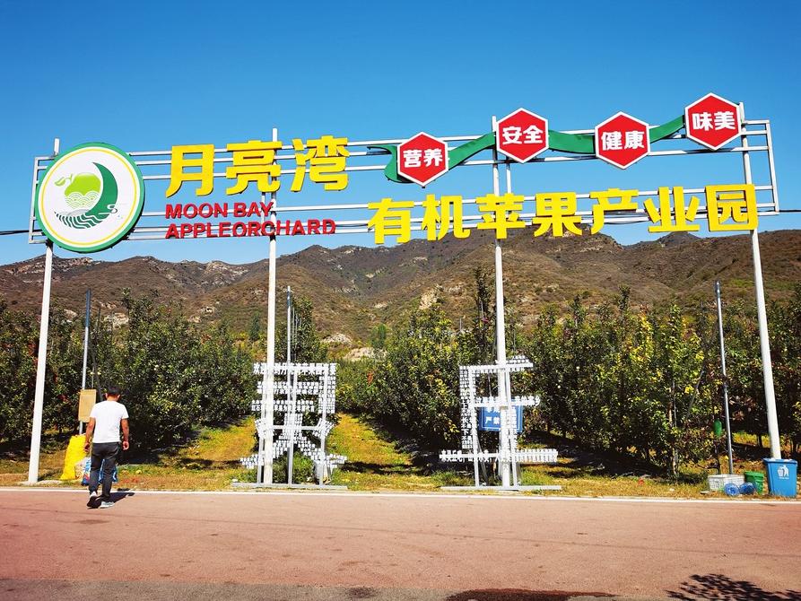 大同4.jpg
