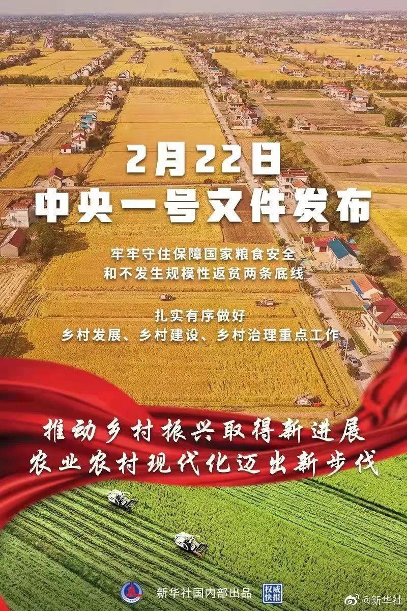 鄉(xiāng)村振興.jpg